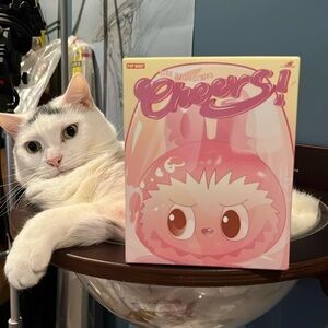 The Monsters Labubu Cheers Series, NWT, unopened, brought from popmart